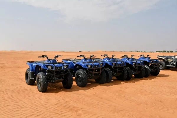 Half Day 4×4 Merzouga Desert Tour - Image 2